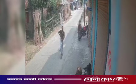 কুষ্টিয়ার দৌলতপুরে প্রকাশ্যে অস্ত্র হাতে যুবকের মহড়া, এলাকায় চরম আতঙ্ক