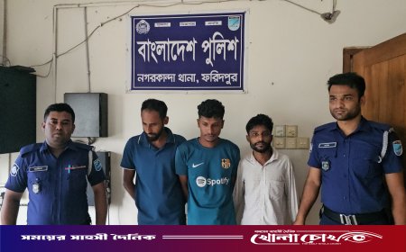 ফরিদপুরের নগরকান্দায় ৭৫ পিস ইয়াবাসহ গ্রেপ্তার ৩