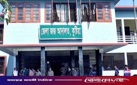 কুষ্টিয়ায় মাদক মামলায় একজনের যাবজ্জীবন কারাদণ্ড, খালাস পেলেন অপরজন