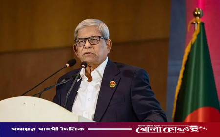 পৌর চেয়ারম্যান থেকে রাষ্ট্রপতি