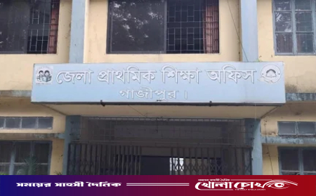 প্রধান শিক্ষক ছাড়াই চলছে গাজীপুরের ২৯৩ প্রাথমিক বিদ্যালয়