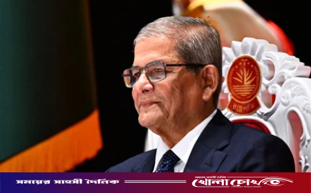 রাষ্ট্রপতি হওয়ায় মির্জা ফখরুলের ঠাকুরগাঁও-১ আসন শূন্য ঘোষণা