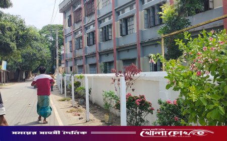 সদরপুরে সংবাদ প্রকাশের পর উচ্ছেদ হলো অবৈধ পার্কিং, ফুলের বাগানে সাজল বিদ্যালয়ের সীমানা