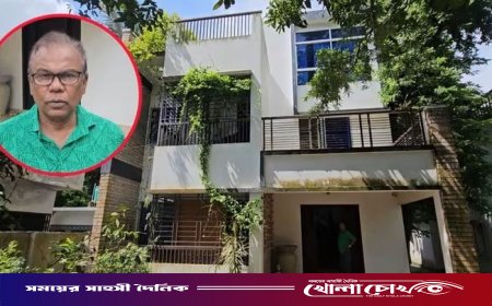 ফরিদপুরে অভিনেতা ফজলুর রহমান বাবুর পৈতৃক বাড়িতে দুঃসাহসিক চুরি