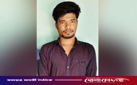 বাংলাদেশি যুবককে ধরে নিয়ে গেছে বিএসএফ