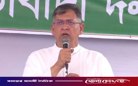 পুলিশ অপরাধীদের গ্রেপ্তার করতে পারেনি, ৬ মাসে এমন একটা ঘটনাও নাই: স্বরাষ্ট্রমন্ত্রী