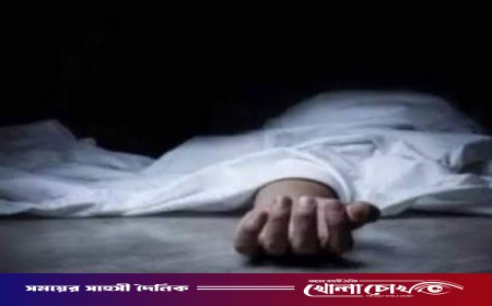 কুষ্টিয়ার দৌলতপুরে সাপের কামড়ে গৃহবধূর মৃত্যু
