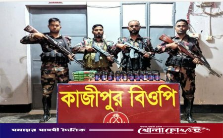 দৌলতপুর সীমান্তে বিজিবির পৃথক অভিযান: প্রায় ২৯ লাখ টাকার ভারতীয় মাদক ও চোরাই পণ্য জব্দ