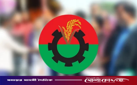 প্রায় প্রতিটি ইউপিতে একাধিক প্রার্থী, যে দুশ্চিন্তায় বিএনপি