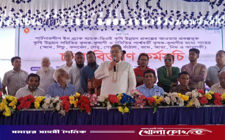 ভাঙ্গায় ৩২৫ কৃষকের মাঝে ৩ হাজার ২৫০টি ফলদ ও বনজ চারা বিতরণ