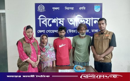 আশুলিয়ায় ডিবি পুলিশের অভিযানে গাঁজা ও হেরোইনসহ ৩ মাদক কারবারি গ্রেফতার