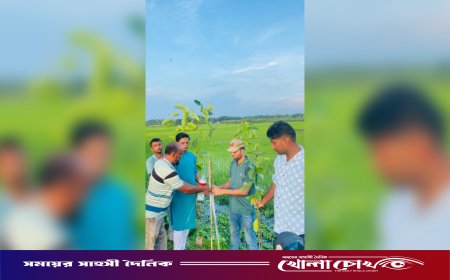 সবুজে সাজবে হোগলবাড়িয়া: দৌলতপুরে সবুর মোল্লার উদ্যোগে শতাধিক চারা রোপণ