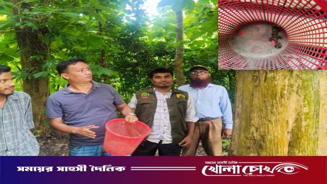 পাচারের চেষ্টা ব্যর্থ: চন্দ্রঘোনা থেকে বিরল প্রজাতির হাঁসপা তক্ষক উদ্ধার, আদালতে সোপর্দ ১