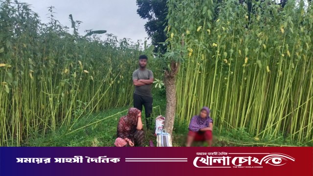 সীমান্তে বিএসএফের পুশইন চেষ্টা প্রতিহত করল বিজিবি