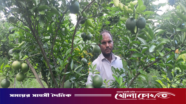 গাড়ির স্টিয়ারিং ছেড়ে ফল চাষে সফলতা: মাগুরায় দৃষ্টান্ত গড়েছেন মিজানুর