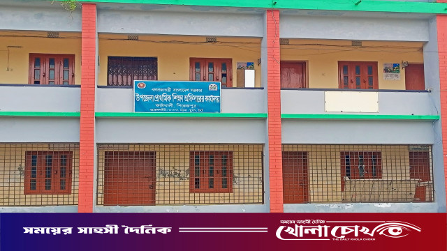 পিরোজপুরে চারাগাছের বদলে ডাল পুঁতে বৃক্ষরোপণ: প্রধান শিক্ষক বরখাস্ত