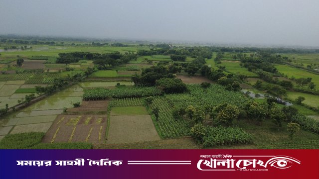 বিএসএফের হাতে বাংলাদেশি আটক, পাল্টা দুই ভারতীয়কে ধরল গ্রামবাসী