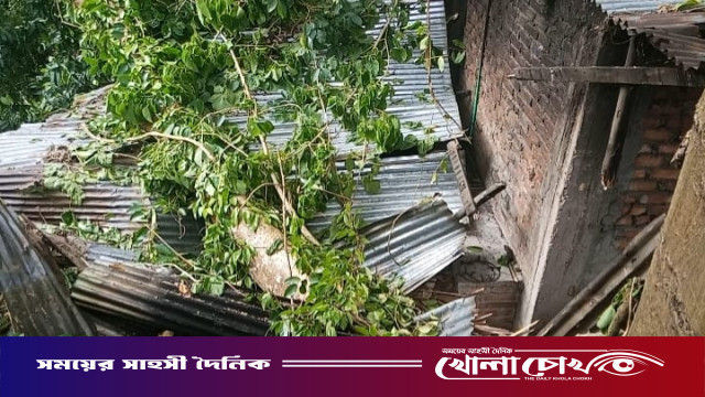 কাপ্তাইয়ে বিশাল গাছের ডাল পড়ে ধসে গেল রান্নাঘর, অল্পের জন্য প্রাণে রক্ষা পেল পরিবার