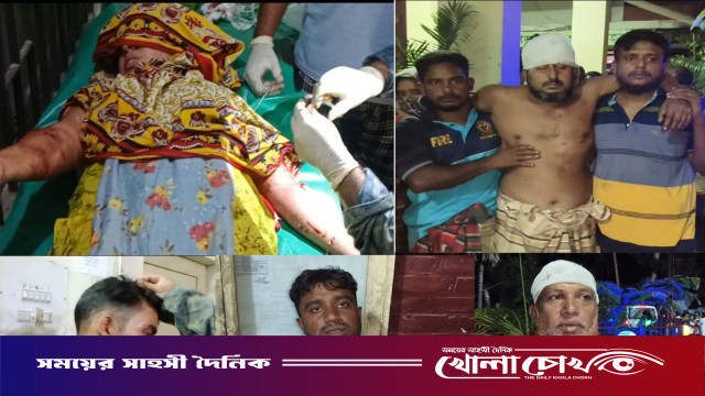 মহম্মদপুরে মাদক বিক্রিতে বাধা দেওয়ায় হামলা: নারীসহ আহত ৫, আটক ১