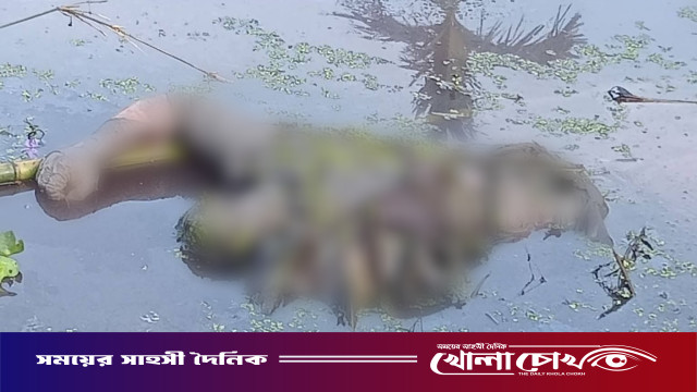 বোয়ালমারীতে বাস-ট্রাক সংঘর্ষের দুদিন পর যুবকের মরদেহ উদ্ধার