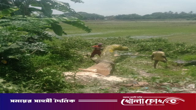 আত্রাইয়ে সরকারি জায়গার গাছ কাটায় ৩০ হাজার টাকা জরিমানা
