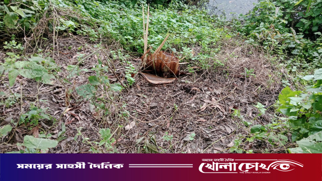 আলফাডাঙ্গায় রাতের আঁধারে সরকারি গাছ কাটার অভিযোগ, মামলার প্রস্তুতি বন বিভাগের