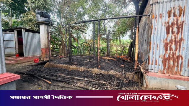 চরভদ্রাসনে মশার কয়েল থেকে আগুন, পুড়ে মরল ৭টি ছাগল