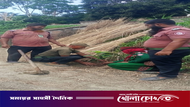 মধুখালীতে আনসার ও ভিডিপির উদ্যোগে রাস্তা মেরামত ও বৃক্ষরোপণ কর্মসূচি