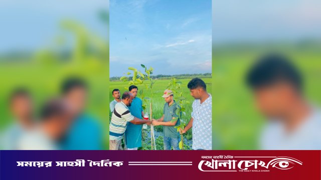 সবুজে সাজবে হোগলবাড়িয়া: দৌলতপুরে সবুর মোল্লার উদ্যোগে শতাধিক চারা রোপণ
