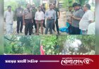 চরভদ্রাসনে শতবর্ষী সরকারি খাল দখলমুক্ত: ভরাটের মালামাল নিলামে বিক্রি