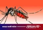 ফরিদপুরে ডেঙ্গুতে আরও একজনের মৃত্যু, ২৪ ঘণ্টায় নতুন রোগী ভর্তি ২৪