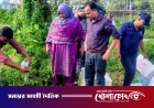 ফেনীতে জেলি পুশ করা ১০৫ কেজি চিংড়ি জব্দ, তিন আড়তকে জরিমানা