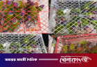 বিদেশে পাচার করতে বাসের সাইডবক্সে রাখা ছিল ১০৩টি টিয়া