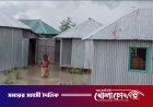 দৌলতপুরে পদ্মার পানি বৃদ্ধি: দুই ইউনিয়নে ৫০ হাজার মানুষ পানিবন্দি, বন্ধ ১৮ শিক্ষাপ্রতিষ্ঠান