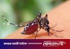 ফরিদপুরে ২৪ ঘণ্টায় ডেঙ্গুতে আক্রান্ত ৩২, হাসপাতালে চিকিৎসাধীন ৩২৬