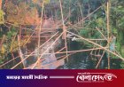 নগরকান্দায় দেশীয় মাছ রক্ষায় মৎস্য অধিদপ্তরের অভিযান: চায়না দুয়ারি জাল ধ্বংস ও ভেসাল উচ্ছেদ