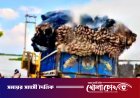 দৌলতপুরে শর্ট সার্কিট থেকে ট্রাকে আগুন: ৩০০ মণ পাট পুড়ে ছাই, ক্ষতি প্রায় ১২ লাখ টাকা