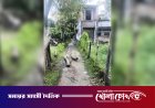 দৌলতপুরে চলাচলের পথ বন্ধের অভিযোগ: দুর্ভোগে বহু পরিবার, সংঘাতের আশঙ্কা