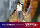 ফরিদপুরে জমি বিরোধের জেরে বাড়ি ঢুকে স্কুলশিক্ষককে গুলি, ভাঙচুর
