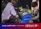 বিষধর কালাচকে ‘দাঁড়াশ’ ভেবে ধরতে গিয়ে সাপের ছোবলে ওঝার মৃত্যু