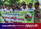 ভাঙ্গায় পরিবেশ সুরক্ষায় সৎসঙ্গ সোসাইটির তালগাছের চারা রোপণ কর্মসূচি