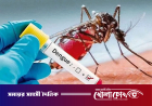 গাজীপুরে ডেঙ্গুর ভয়াবহ প্রকোপ, ২০ দিনে ১৩ জনের প্রাণহানি