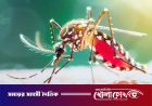 ২৪ ঘণ্টায় ডেঙ্গুতে প্রাণ হারালেন ৬ জন