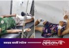 থানচিতে জুমখেতে বুনো শূকরের আক্রমণ, বাবা-মেয়ে গুরুতর আহত