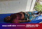 দৌলতপুরে অজ্ঞাত গাড়ির ধাক্কায় সাইকেল আরোহী নিহত