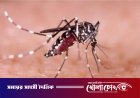 ফরিদপুরে ২৪ ঘণ্টায় ডেঙ্গুতে আক্রান্ত ৩২, এ বছর মোট মৃত্যু ৫