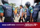 দৌলতপুরে তারেক রহমানের ছবি অবমাননার অভিযোগ, এলাকায় ক্ষোভ