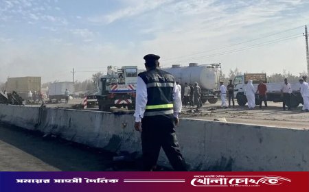 মিশরে বাস দুর্ঘটনায় হতাহত ৪৪