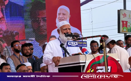 'অত্যাচারের স্টিম রোলার চালানো হয়েছে, তবুও দেশ ছাড়িনি: জামায়াত আমির