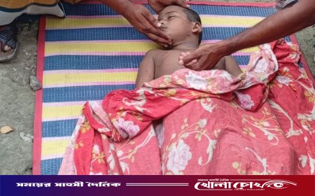 ভাঙ্গায় ডোবার পানিতে ডুবে শিশুর মর্মান্তিক মৃত্যু